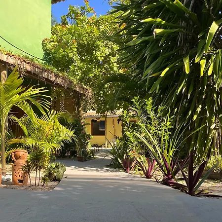 Chales Canto Dos Passaros Boipeba Cairu Exterior photo