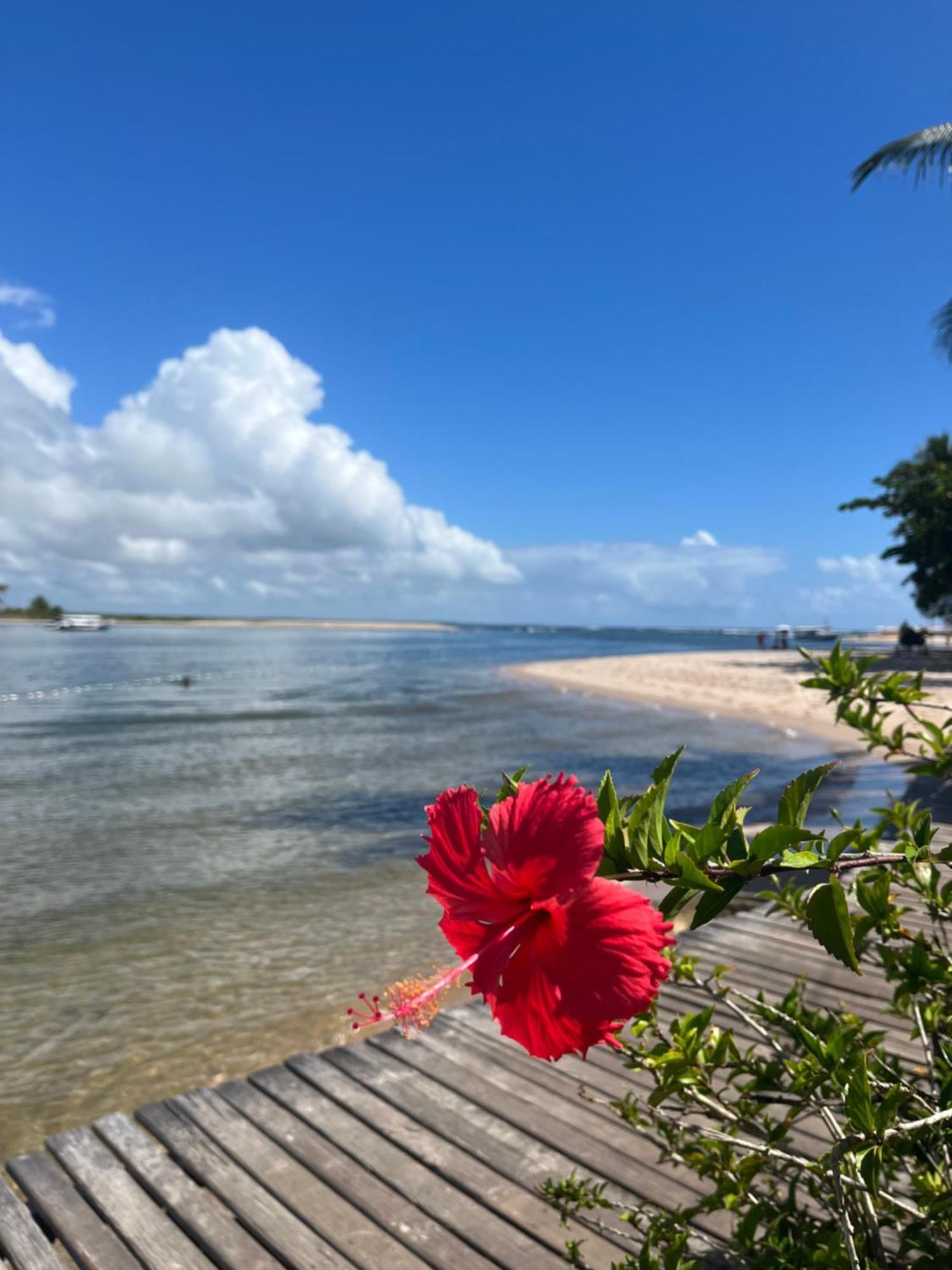 Canto Dos Passaros Boipeba Apartment *